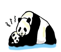 Heart of the panda sticker #9070143