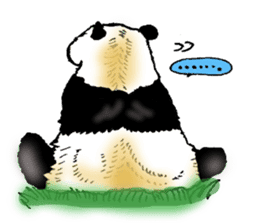 Heart of the panda sticker #9070149