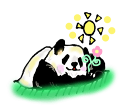Heart of the panda sticker #9070150