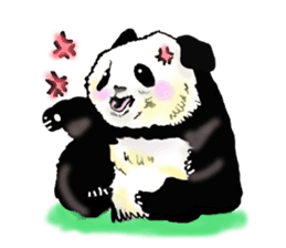 Heart of the panda sticker #9070152