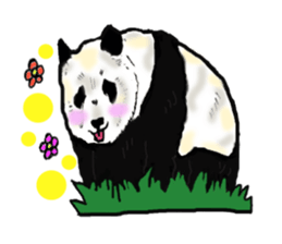Heart of the panda sticker #9070163