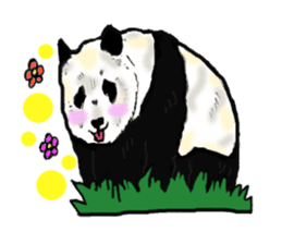 Heart of the panda sticker #9070163