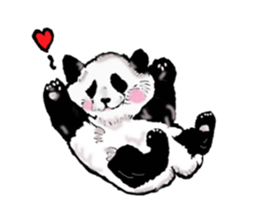 Heart of the panda sticker #9070166