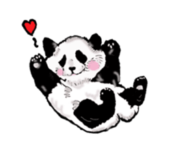 Heart of the panda sticker #9070166