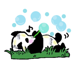 Heart of the panda sticker #9070167