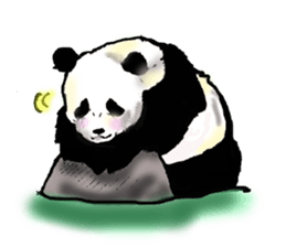Heart of the panda sticker #9070173