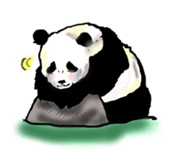 Heart of the panda sticker #9070173