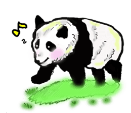 Heart of the panda sticker #9070174