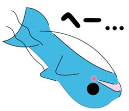 Dolphin Koo-chan<everyday conversation> sticker #9071152