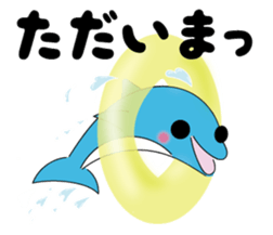 Dolphin Koo-chan<everyday conversation> sticker #9071169