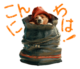 PADDINGTON(TM) sticker #9072336