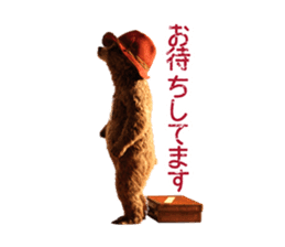 PADDINGTON(TM) sticker #9072364