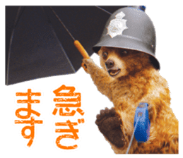 PADDINGTON(TM) sticker #9072369