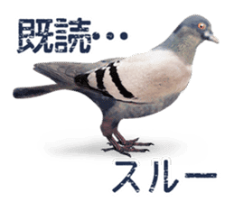 PADDINGTON(TM) sticker #9072375