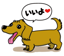 Dachsfund named Haru 2 sticker #9073624