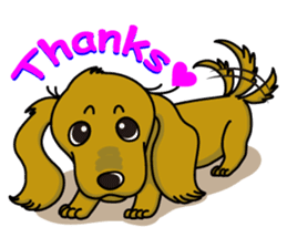 Dachsfund named Haru 2 sticker #9073626