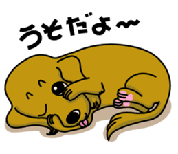 Dachsfund named Haru 2 sticker #9073628