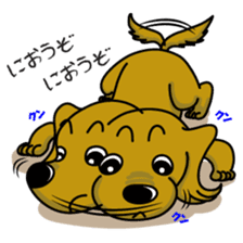 Dachsfund named Haru 2 sticker #9073631