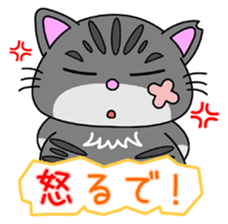 KANSAI-Kitty Vol.3 sticker #9075115