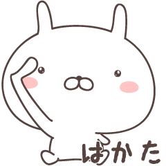 Pretty rabbit -hakata-