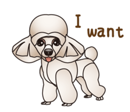 Dog (practical dialogue in English) sticker #9075858