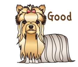 Dog (practical dialogue in English) sticker #9075860