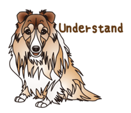 Dog (practical dialogue in English) sticker #9075867