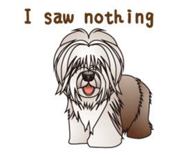 Dog (practical dialogue in English) sticker #9075870