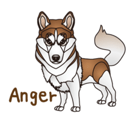 Dog (practical dialogue in English) sticker #9075871