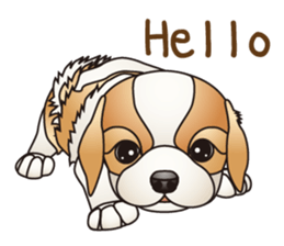 Dog (practical dialogue in English) sticker #9075873