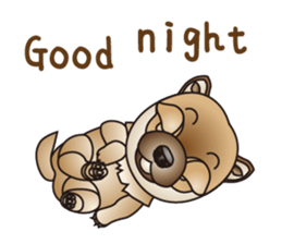 Dog (practical dialogue in English) sticker #9075884