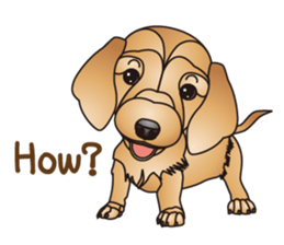 Dog (practical dialogue in English) sticker #9075886