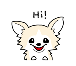 chihuahua hu wa wa sticker sticker #9080344