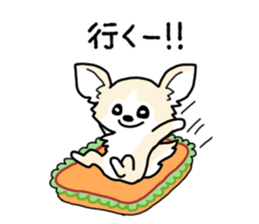 chihuahua hu wa wa sticker sticker #9080359