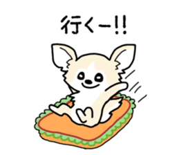 chihuahua hu wa wa sticker sticker #9080359