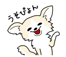 chihuahua hu wa wa sticker sticker #9080361