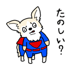 chihuahua hu wa wa sticker sticker #9080363