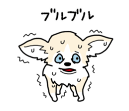 chihuahua hu wa wa sticker sticker #9080374