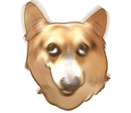 Dangerous Corgi sticker #9081704