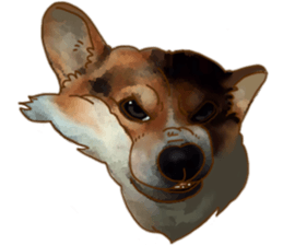 Dangerous Corgi sticker #9081707