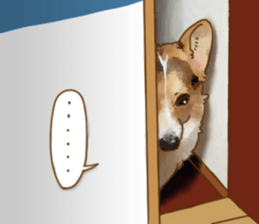 Dangerous Corgi sticker #9081710