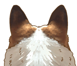 Dangerous Corgi sticker #9081715