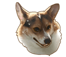 Dangerous Corgi sticker #9081716