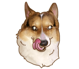 Dangerous Corgi sticker #9081717