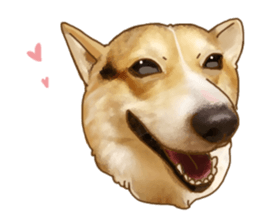 Dangerous Corgi sticker #9081719