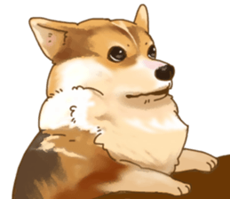 Dangerous Corgi sticker #9081724