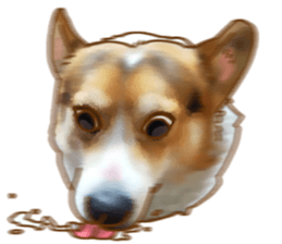 Dangerous Corgi sticker #9081725