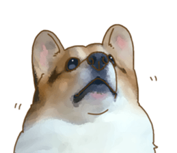 Dangerous Corgi sticker #9081729