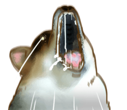 Dangerous Corgi sticker #9081730