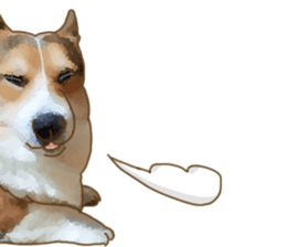 Dangerous Corgi sticker #9081731